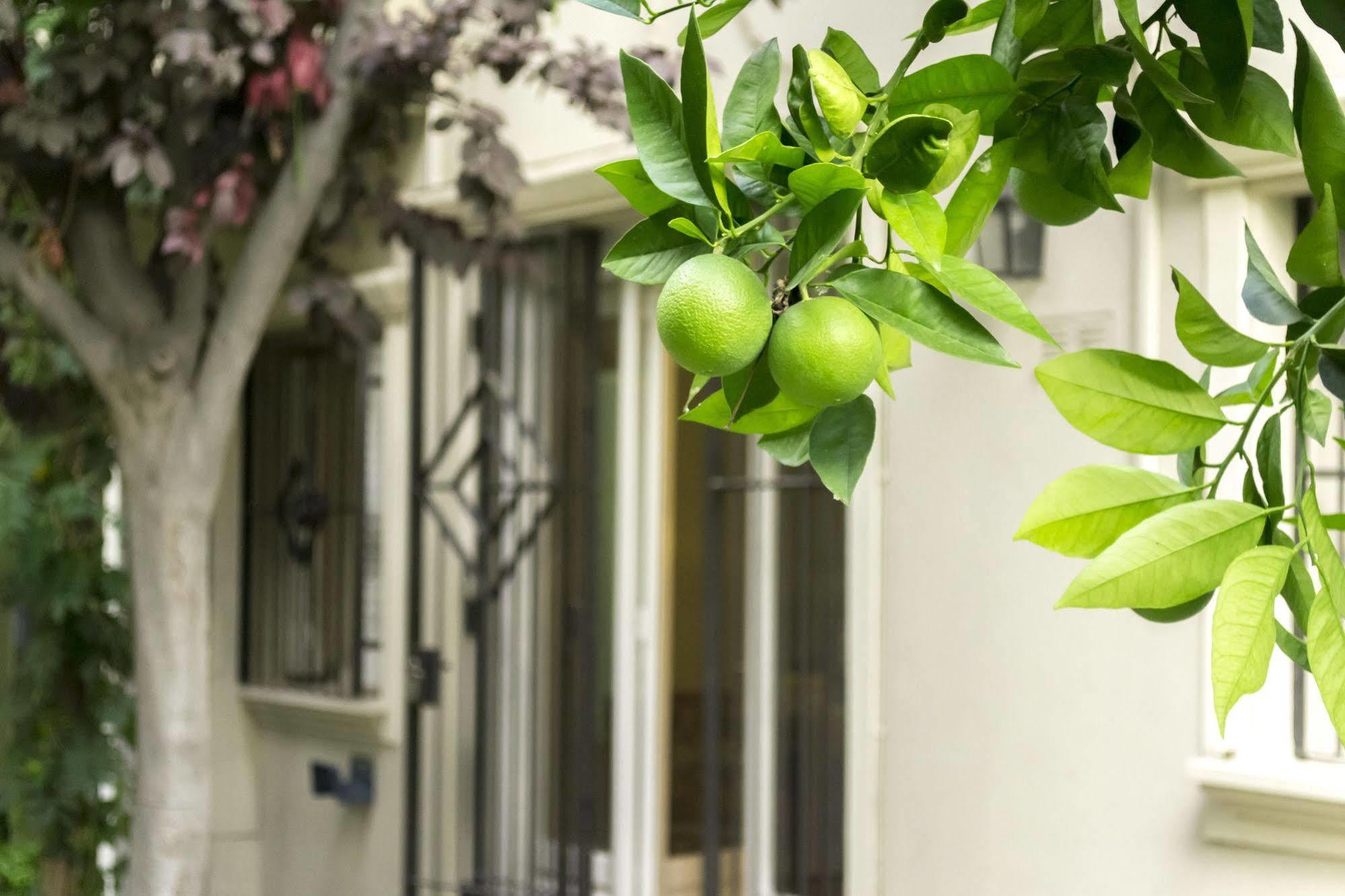 فيلا Casa Noble ميندوزا المظهر الخارجي الصورة